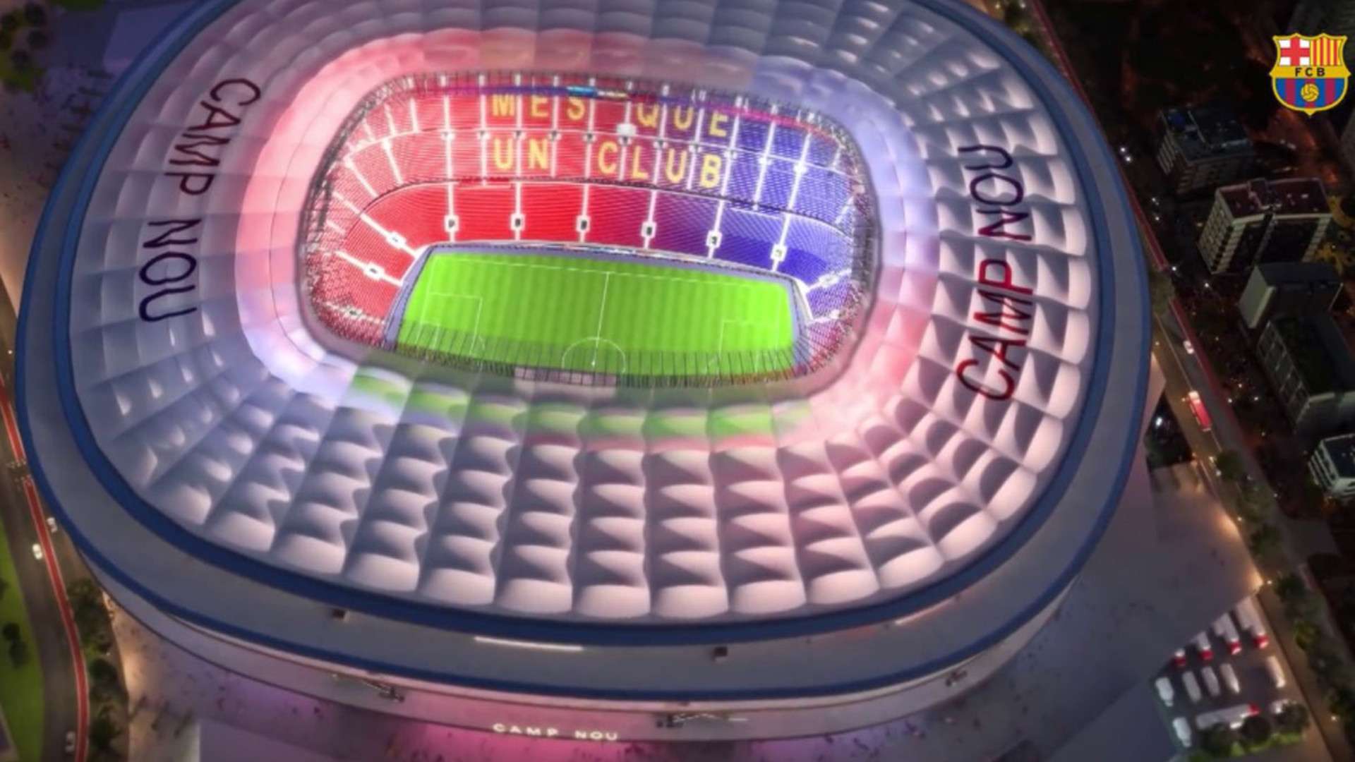 動和文化的 動和文化的